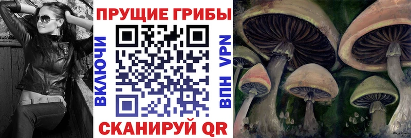mega рабочий сайт  Сызрань  Галлюциногенные грибы MAGIC MUSHROOMS 